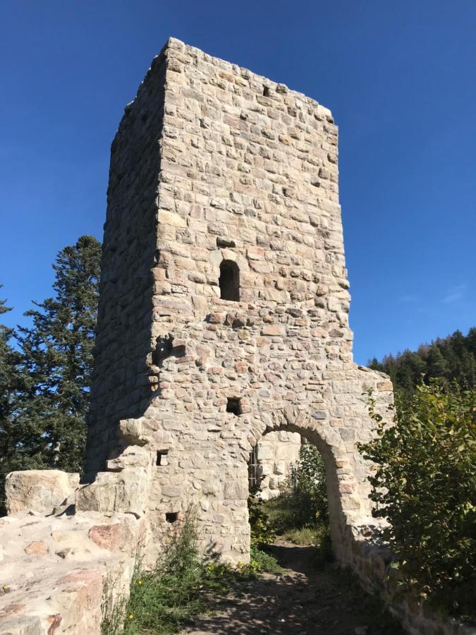 Landgasthof Alpenblick An Der Wutachschlucht Suedschwarzwald Loeffingen Exterior photo